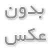 علت زرد شدن برگ زاموفیلیا و درمان آن